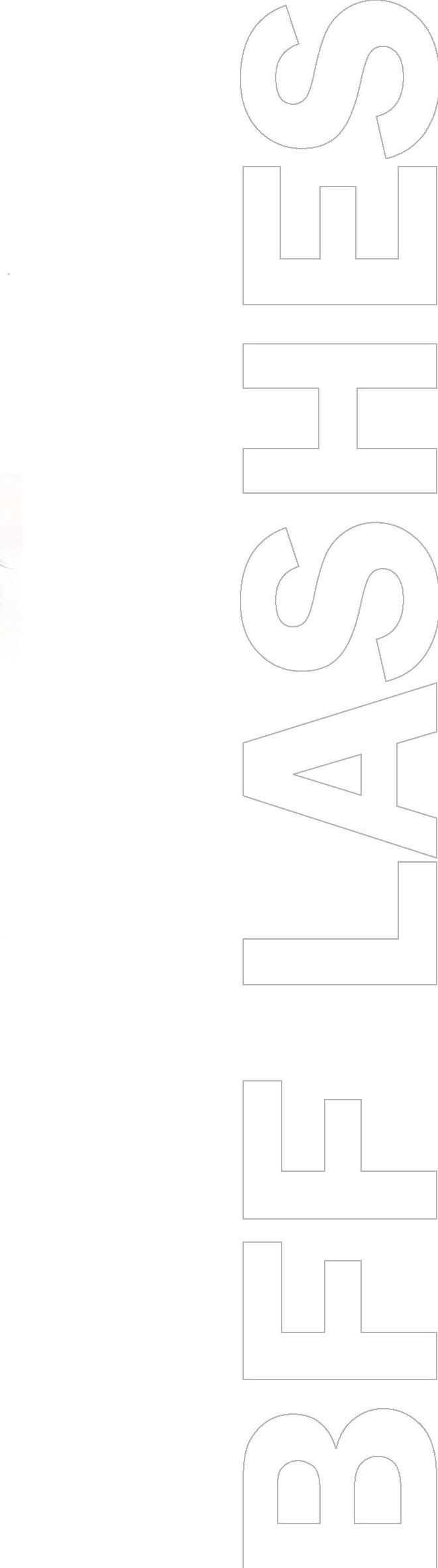 Signature Luxe Faux Mink Eyelashes %%sep%% Eyelashesworld.com