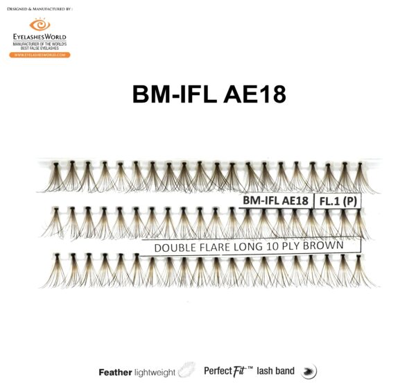 BM-IFL AE18