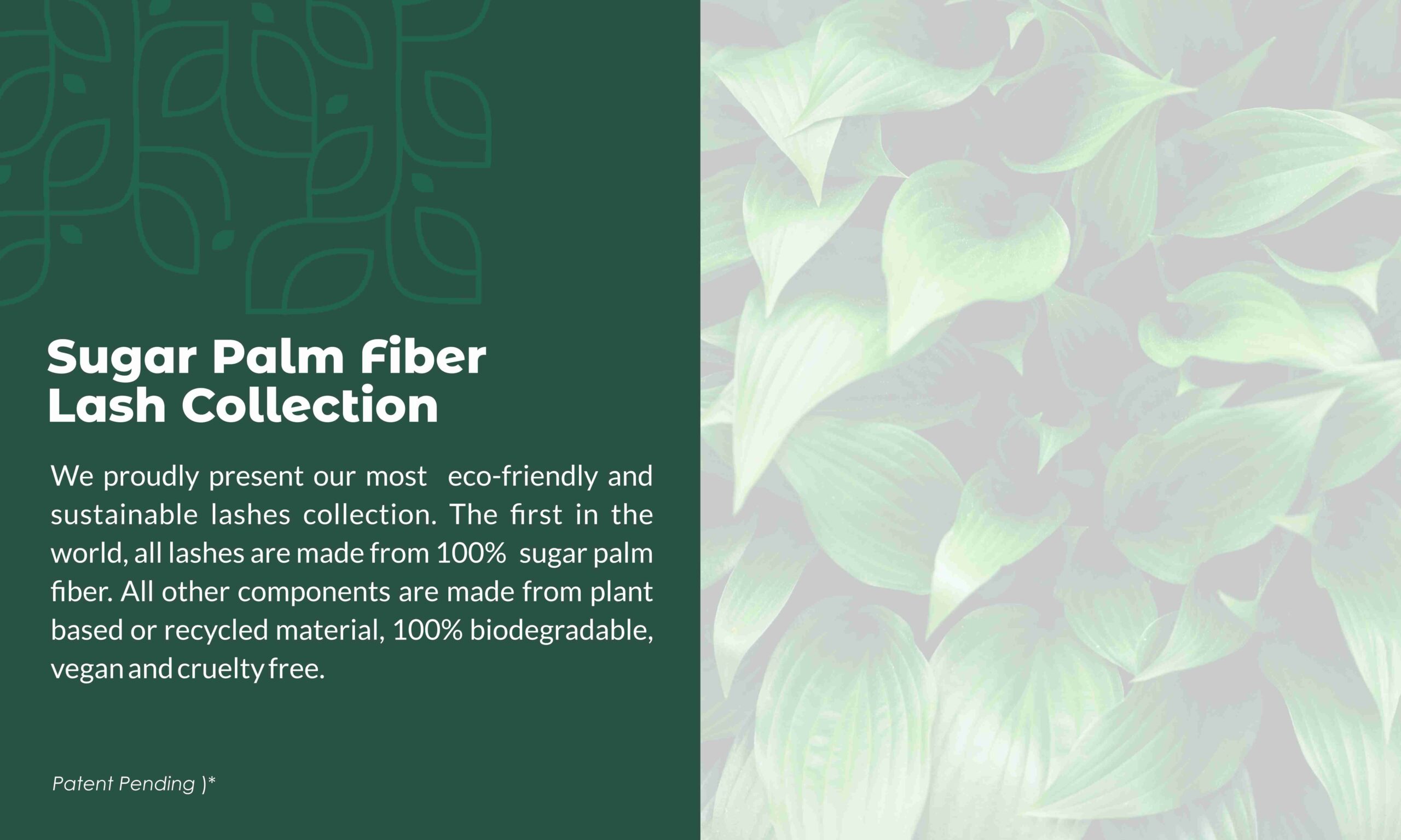 Explore Premium False Eyelashes and Beauty Solutions Online