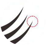 Eyelashesworld.com - Manufacturer of the world’s best false eyelashes